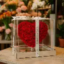 FLW-396-STY.webp