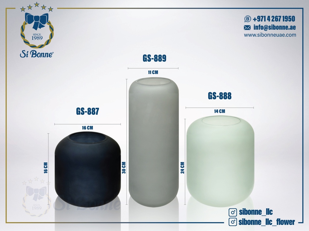 Glass Vase GS-889