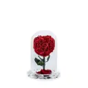 Preserve Flower Crystal Dome Heart Decoration
