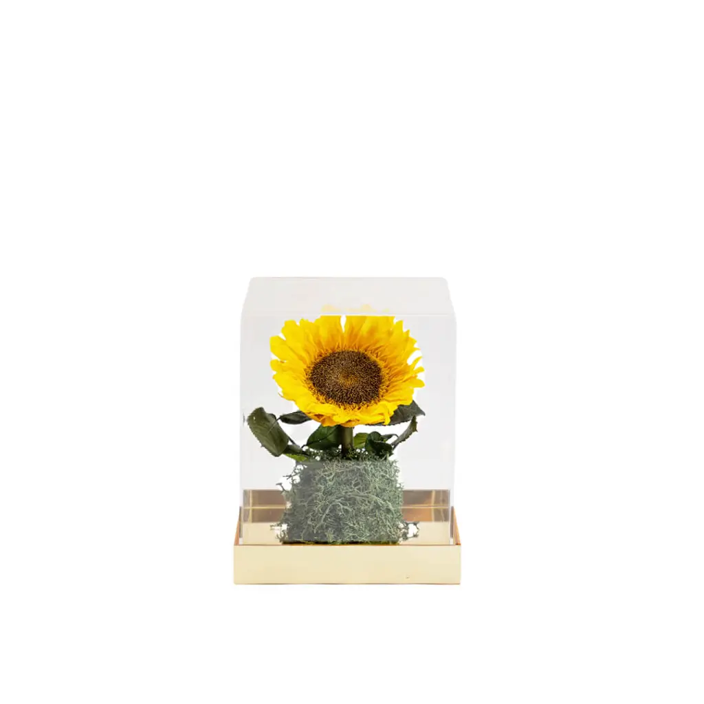 Preserve Flower Sunflower